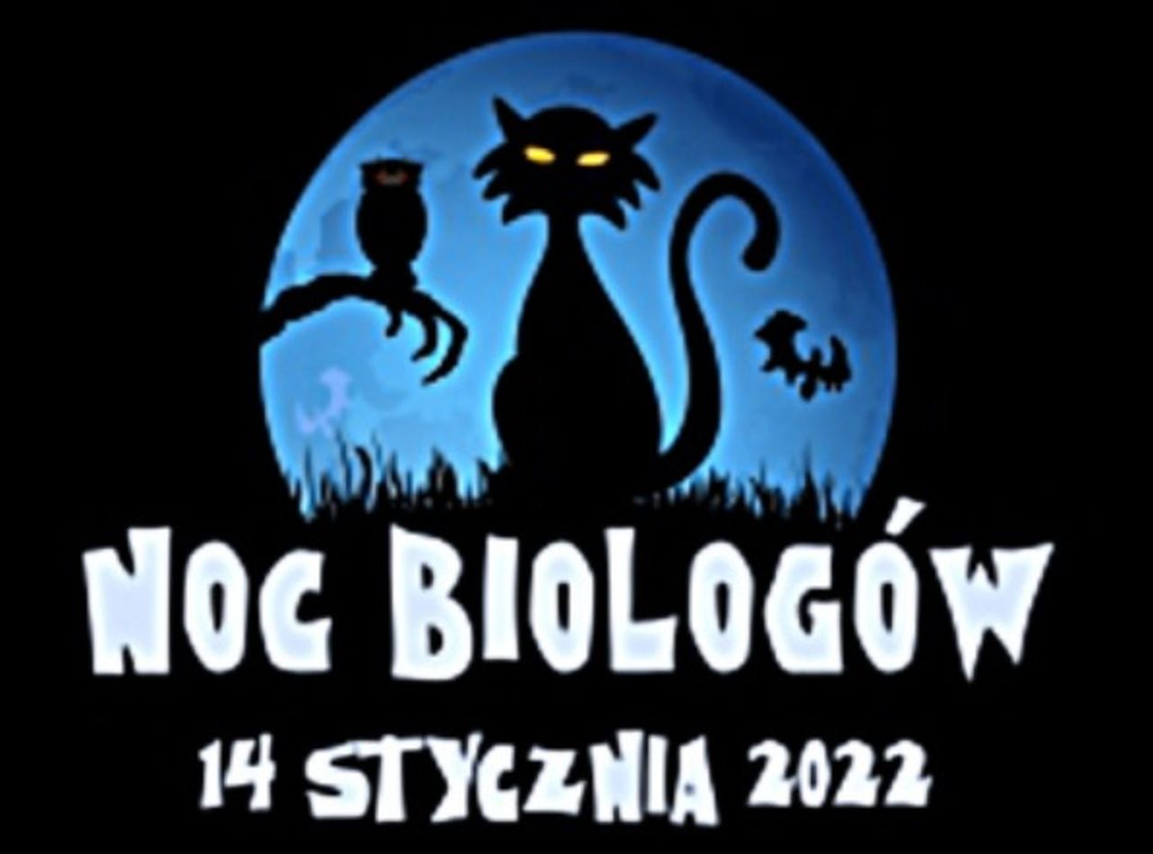 NB logo 2022 1